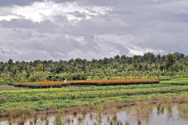 Mekong, un paraíso al natural en Vietnam