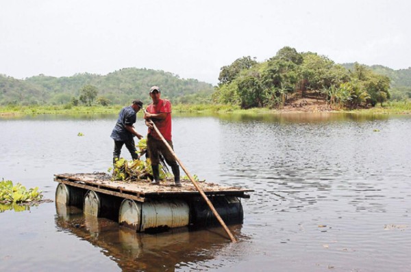 Gran avance en la laguna de Ticamaya