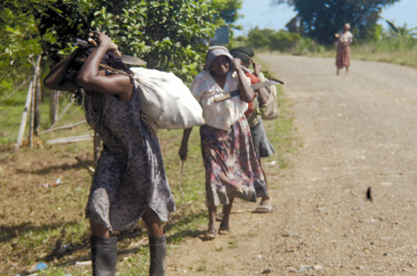 Garífunas 212 años de historia en Honduras