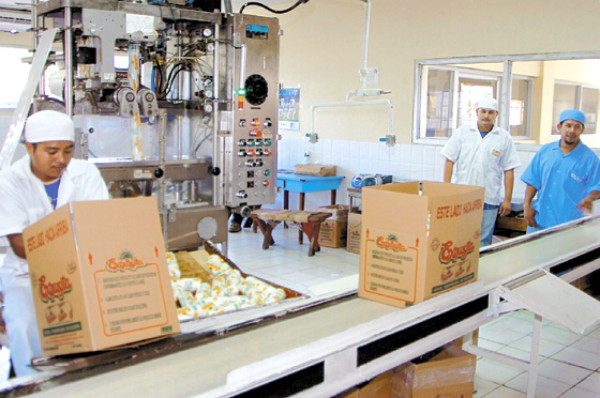 El bajo Aguán, oasis en medio de la crisis