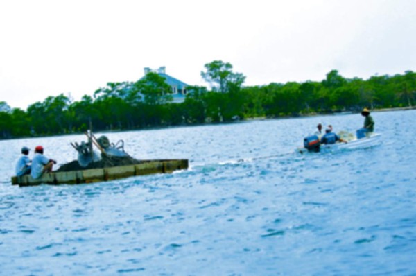 Exigen salvar los arrecifes