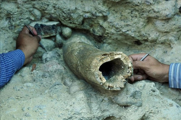 Hallan posible colmillo de mamut en Honduras