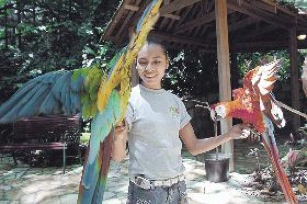 Más que un paseo a vuelo de pájaro