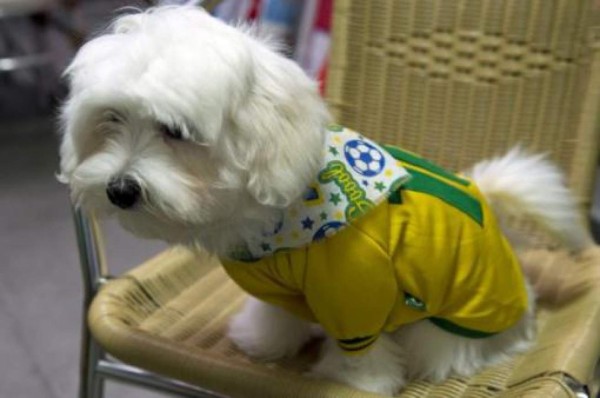 Camisetas para perros o condones de caipirinha: los más insólitos del Mundial