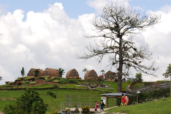 Honduras: Gastos de Joya Grande son de L1.2 millones mensuales