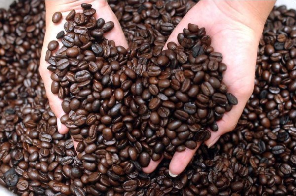 Taza de Excelencia busca hoy precio récord en subasta