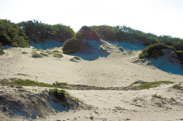 Santa Rosa de Aguán aún llora sus muertos