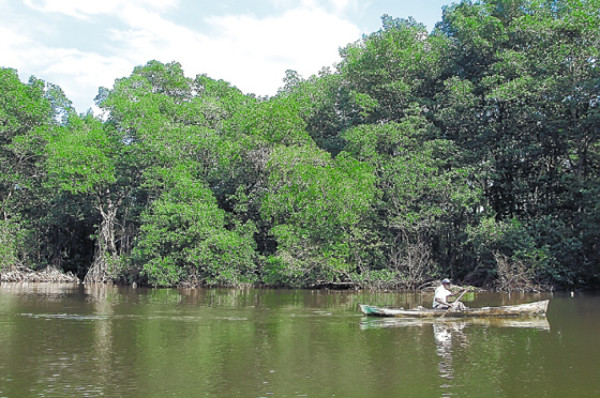Laguna de Los Micos peligra por sedimentación