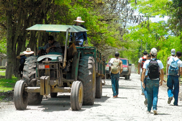 Zozobra por cierre de fincas en el Aguán