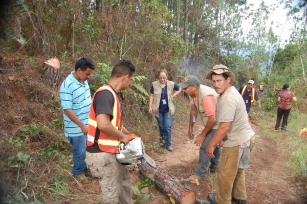 Las rondas reducen quemas en El Merendón