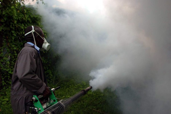 Atlántida en rojo por altos índices de casos de dengue