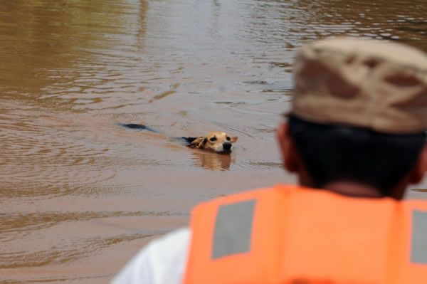Honduras: El Progreso afectado por inundaciones