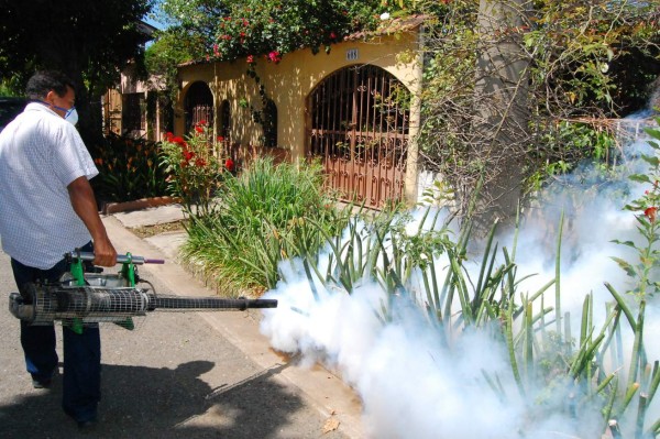 Masivo operativo contra el dengue en la colonia Aurora
