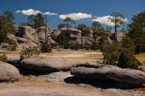 Paseo por el jardín de piedras en Mexiquillo