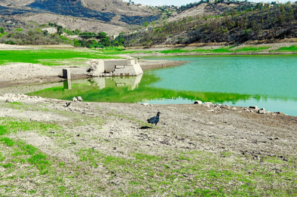 Con calor...y sin agua