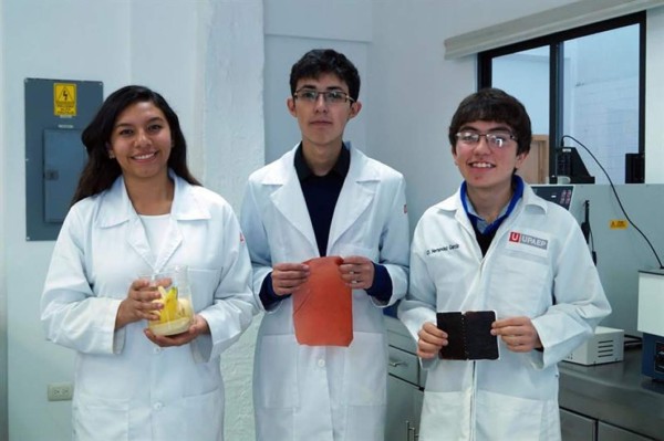 Estudiantes crean plástico biodegradable con cáscaras de plátano
