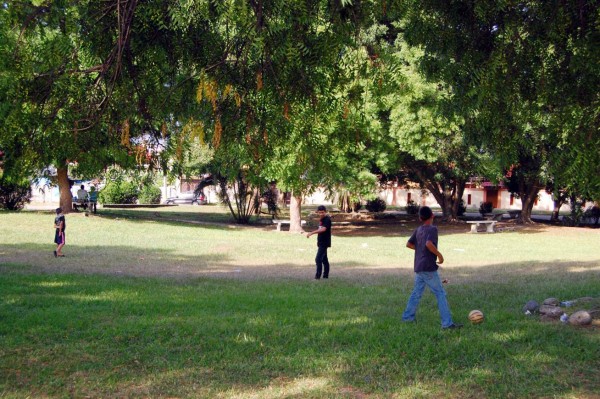 Quieren que San Pedro Sula sea ciudad verde