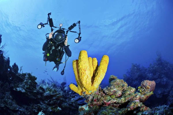Underwater portrait of a scuba diver with full professional photo equipment under the sea.