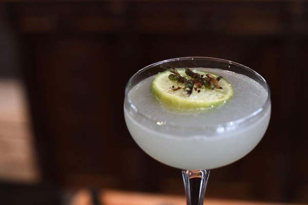 Los insectos en Tailandia, de 'plato de pobre” a alimento de moda