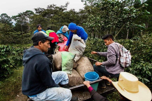 Foto: La Prensa