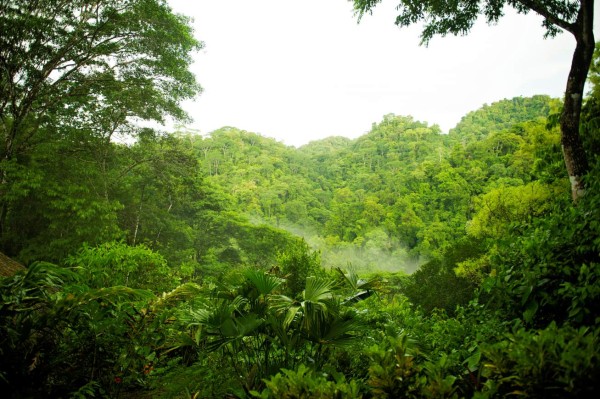 Soluciones basadas en la naturaleza son clave para adaptarse al cambio climático