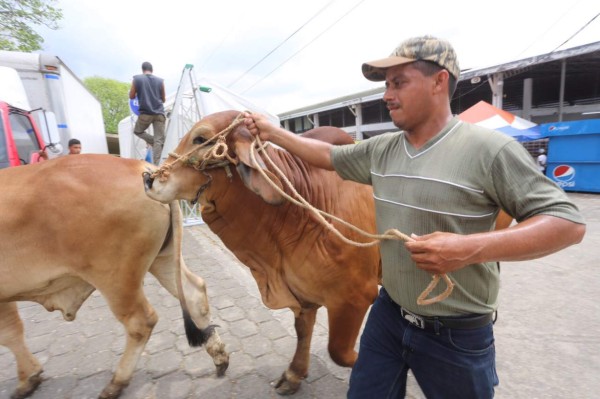 Sampedranos disfrutan del campo Agas