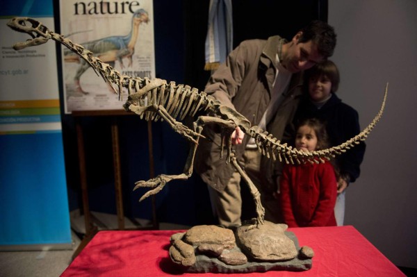 Exhiben en Argentina réplica de extraño dinosaurio herbívoro