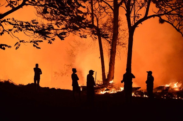 Incontrolable incendio destruye decenas de hectáreas de pino El Hatillo 