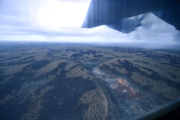 Fuertes lluvias ayudan a combatir los incendios en Australia
