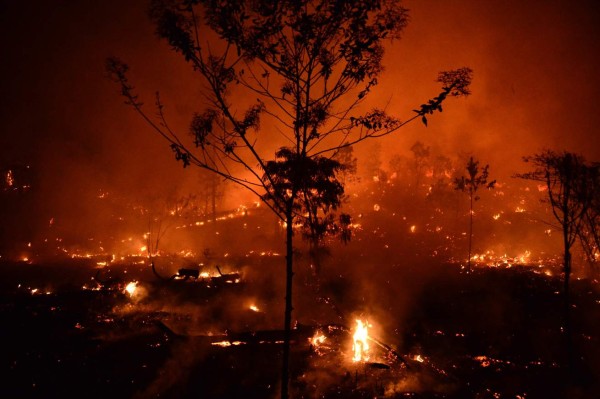 Incontrolable incendio destruye decenas de hectáreas de pino El Hatillo 