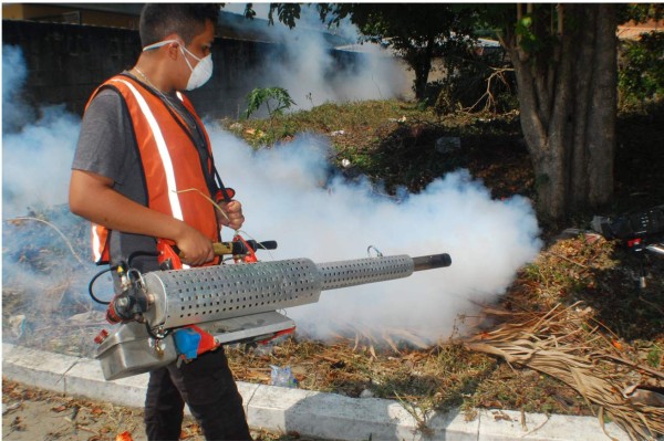 Aumentan síntomas de zika en mujeres embarazadas