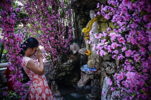 El año del mono de fuego': Riesgos, fortuna y oportunidades