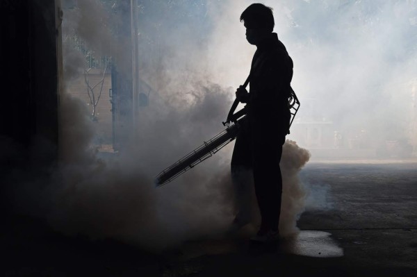 Científicos descubren bacteria para combatir el Zika