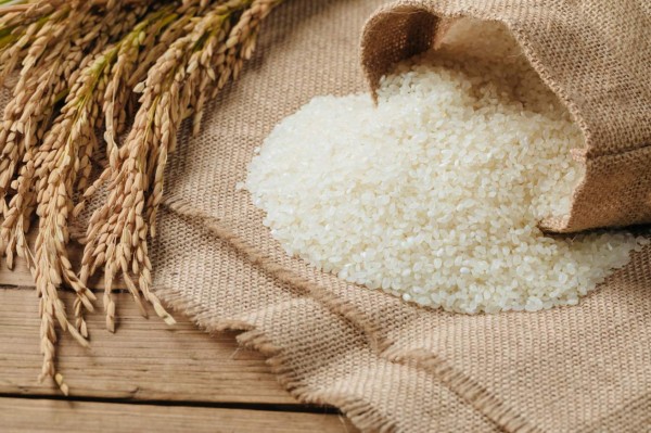 Descubren que tres proteínas de arroz transgénico pueden frenar el sida