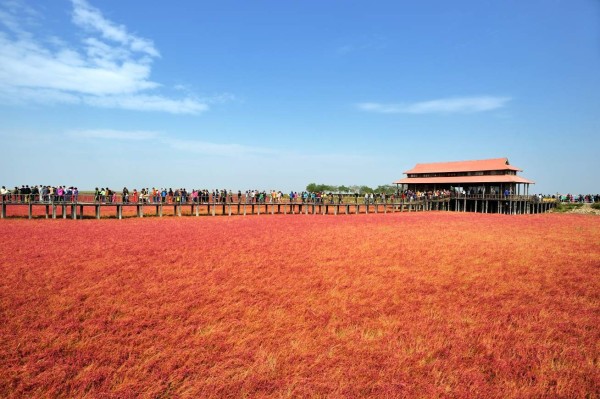 La Playa Roja, un increíble paisaje natural