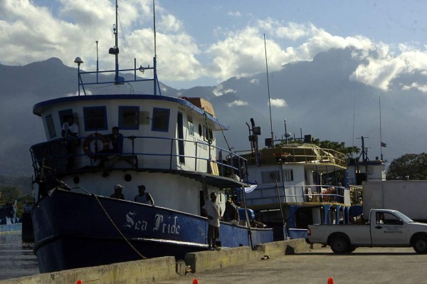 Socializan veda de camarones para frenar la baja producción