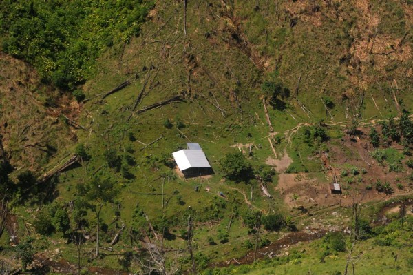 Desde el aire se logra apreciar el daño ambiental en varias zonas forestales de la Biosfera del Río Plátano.