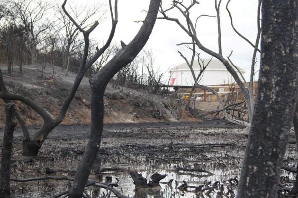 No hay presencia de petróleo en el Golfo de Fonseca: Copeco