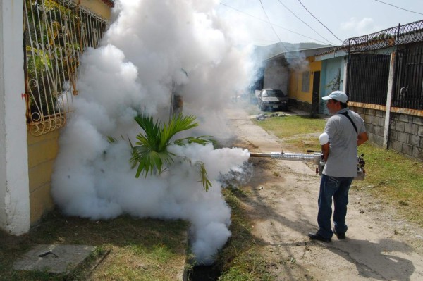 Arrecian operativos contra el dengue en San Pedro Sula