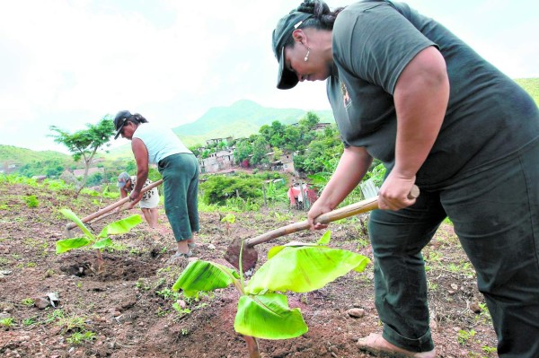 Campesinas hondureñas reciben títulos de propiedad