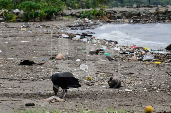 Omoa promete playas limpias para el feriado Morazánico