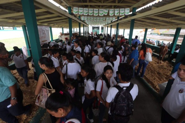 El campo Agas traerá al grupo norteño AK7 de México