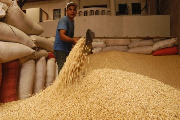 Autorizan importación de contingente de desabasto de maíz blanco