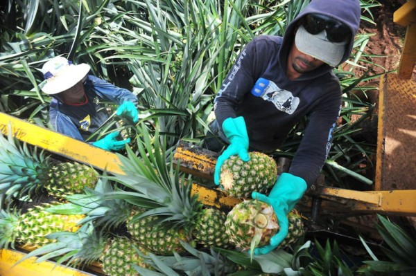 En 3.4% cae exportación de mercancías regionales