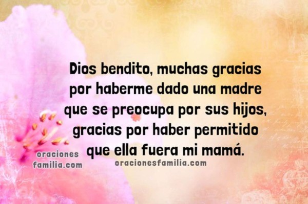 Bellas frases y poemas para Mamá