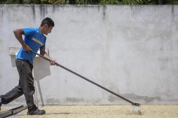 Un sueño cumplido a base de café