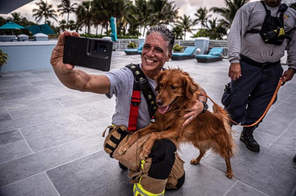 Los perros también ayudan a mantener la esperanza en el lugar del derrumbe en Miami