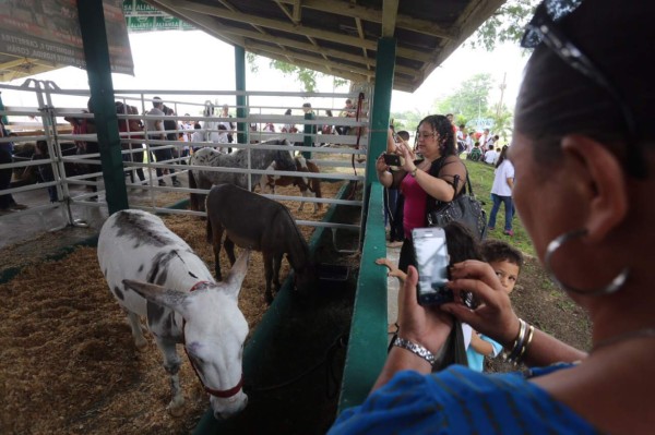 Sampedranos disfrutan del campo Agas