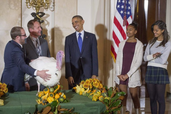 Obama perdona la vida a dos pavos antes del día de Acción de Gracias