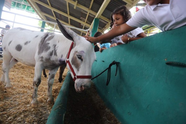 Sampedranos disfrutan del campo Agas